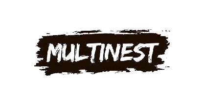 Multinest logo